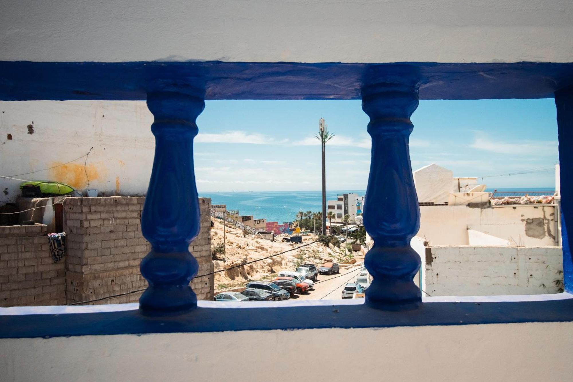 Bird * Taghazout